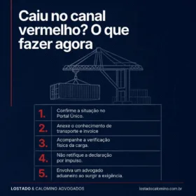 Canal vermelho na importação Canal vermelho na importação: o que fazer quando a carga é selecionada
